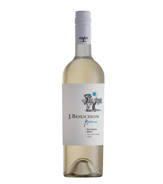 Viña J.BOUCHON Sauvignon Blanc